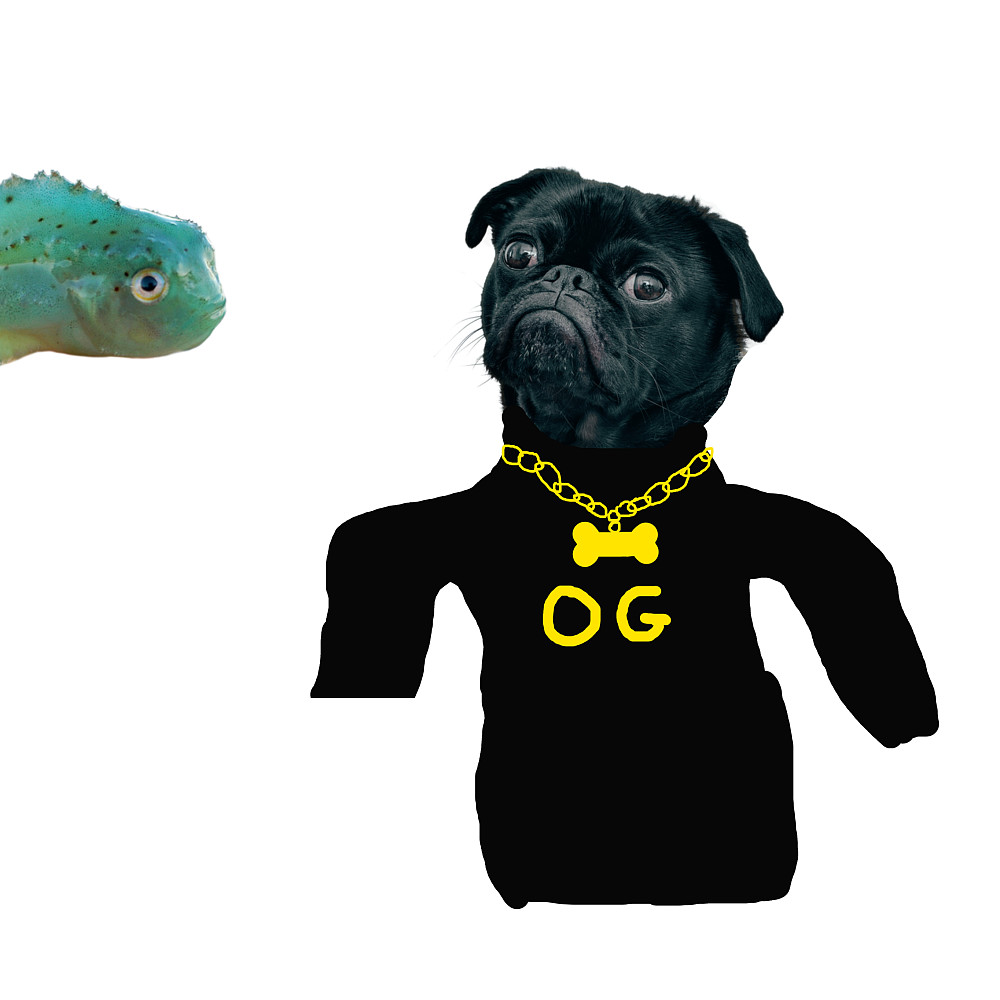 OG Doggo