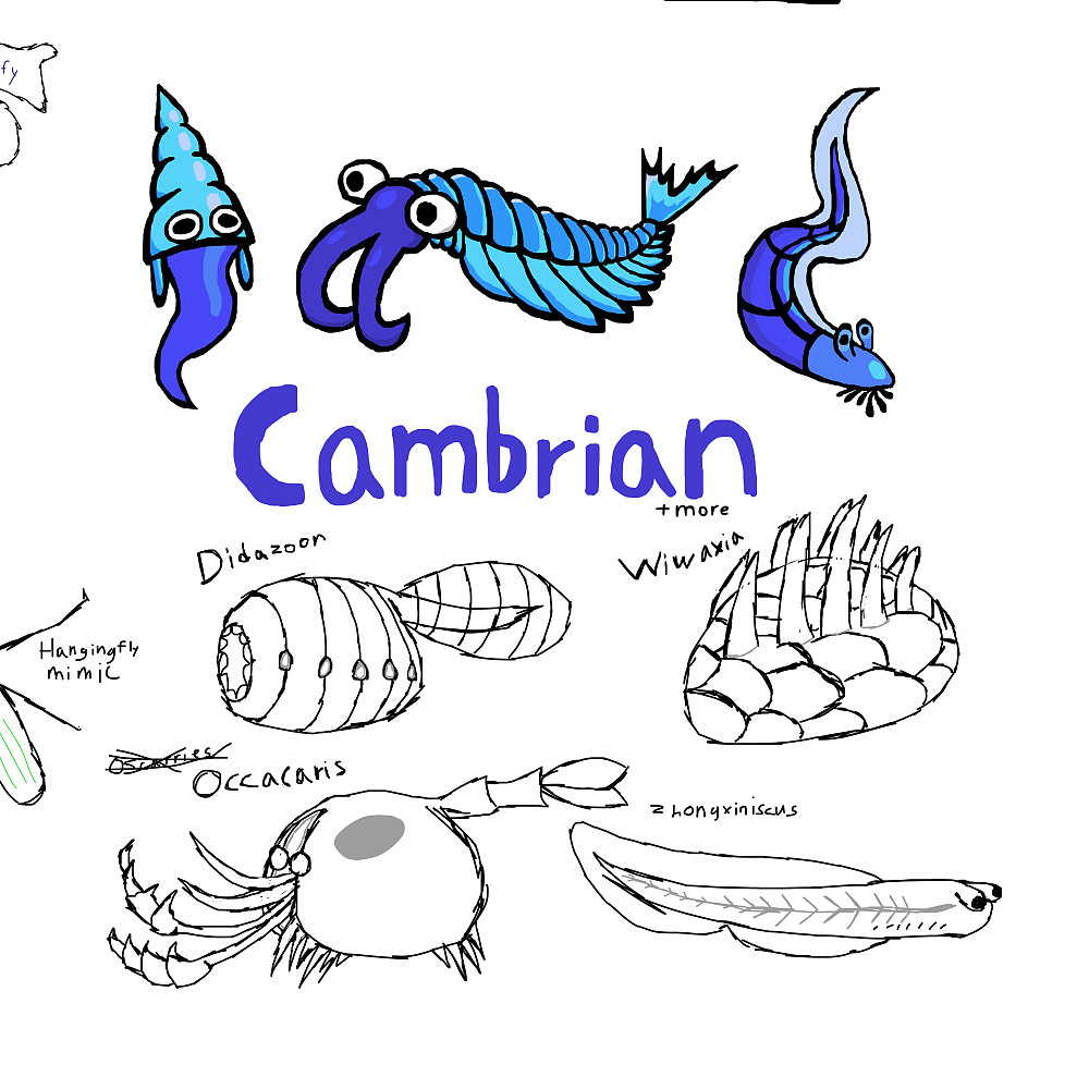 Cambrian