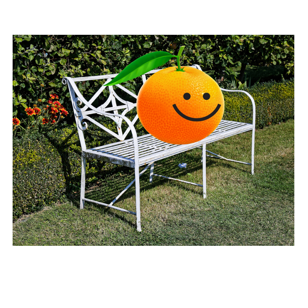 not an orange